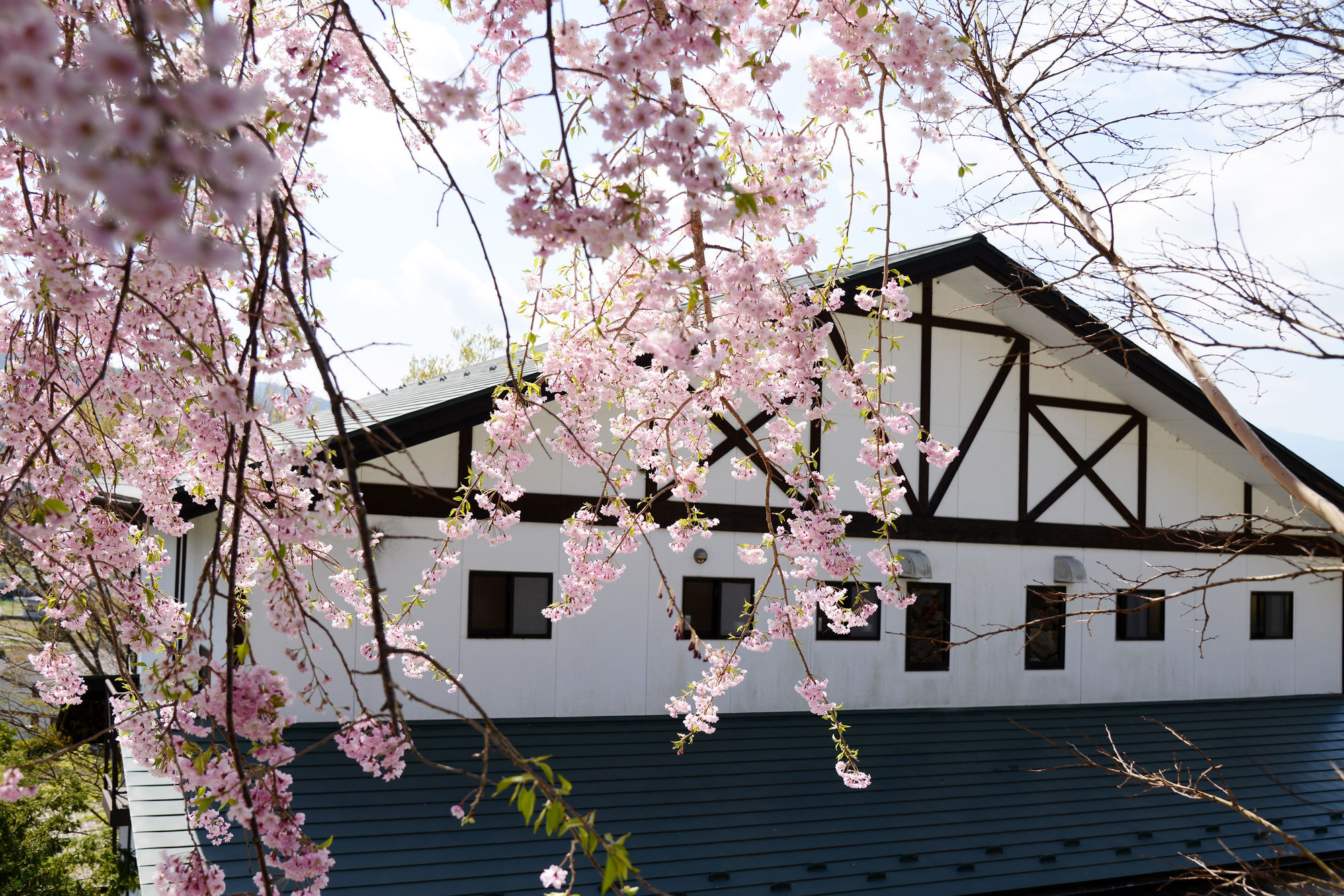 Kawaguchiko Country Cottage Ban Fujikawaguchiko Exterior foto