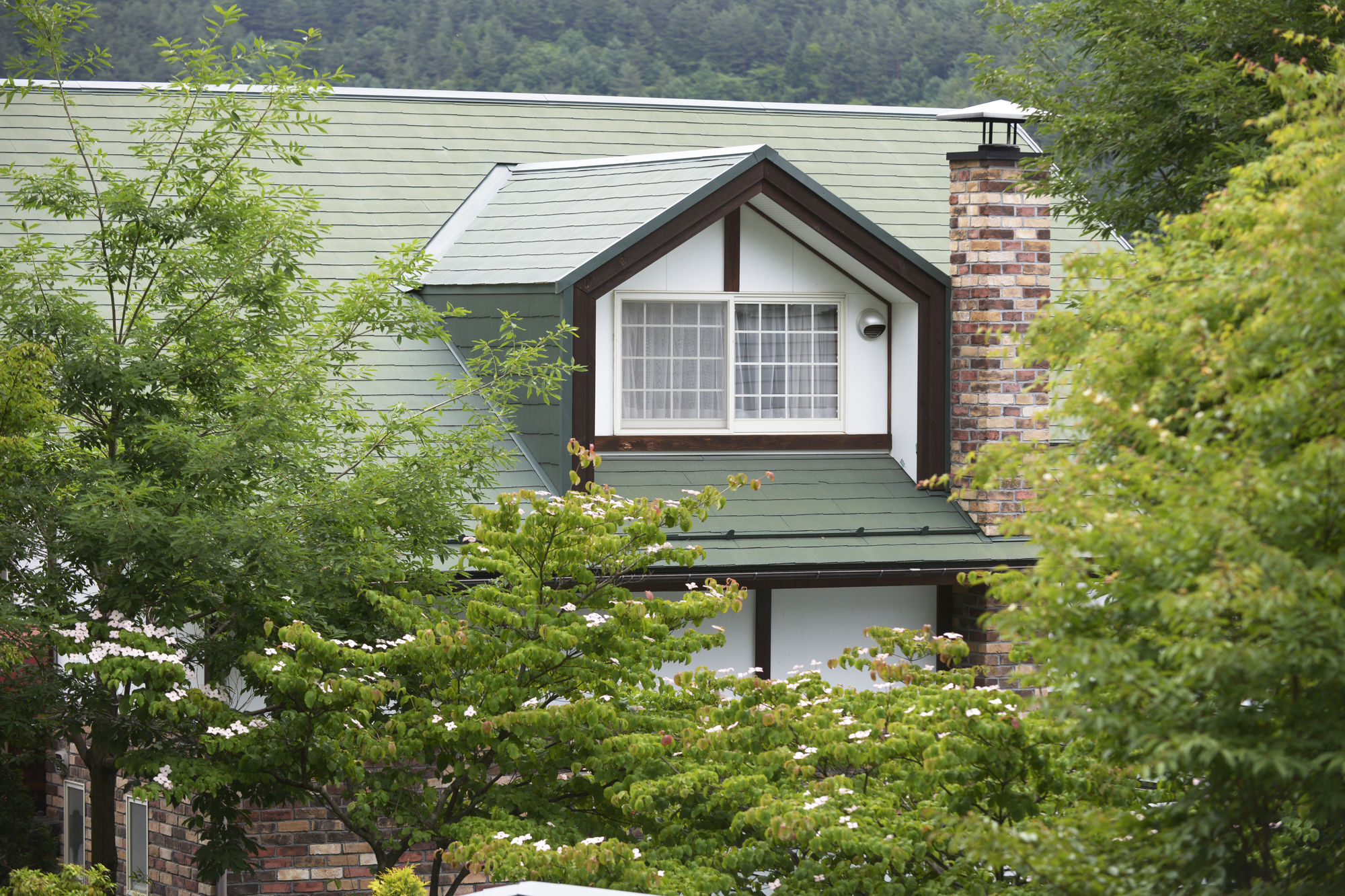 Kawaguchiko Country Cottage Ban Fujikawaguchiko Exterior foto
